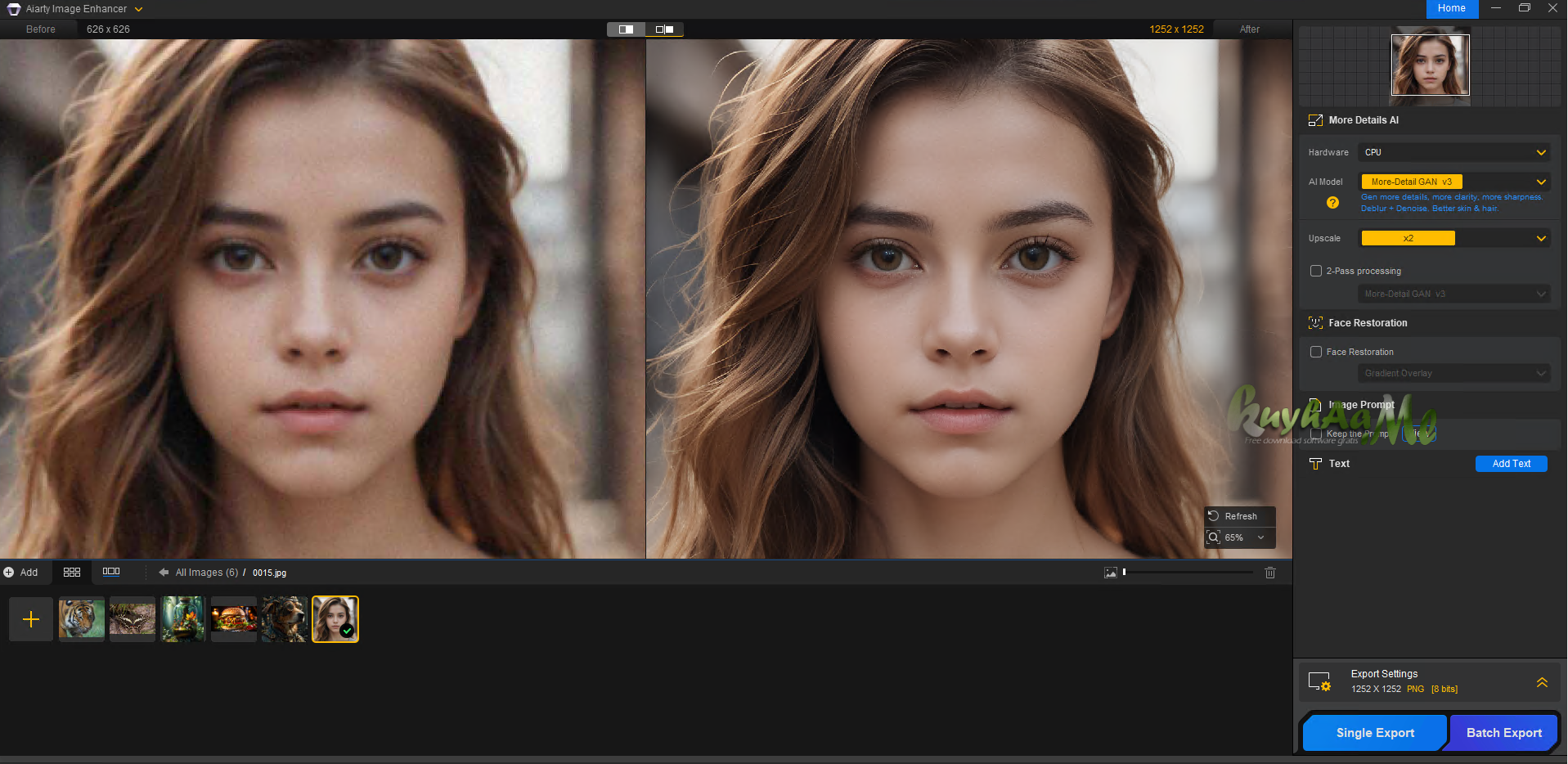 Aiarty Image Enhancer Full v3.13