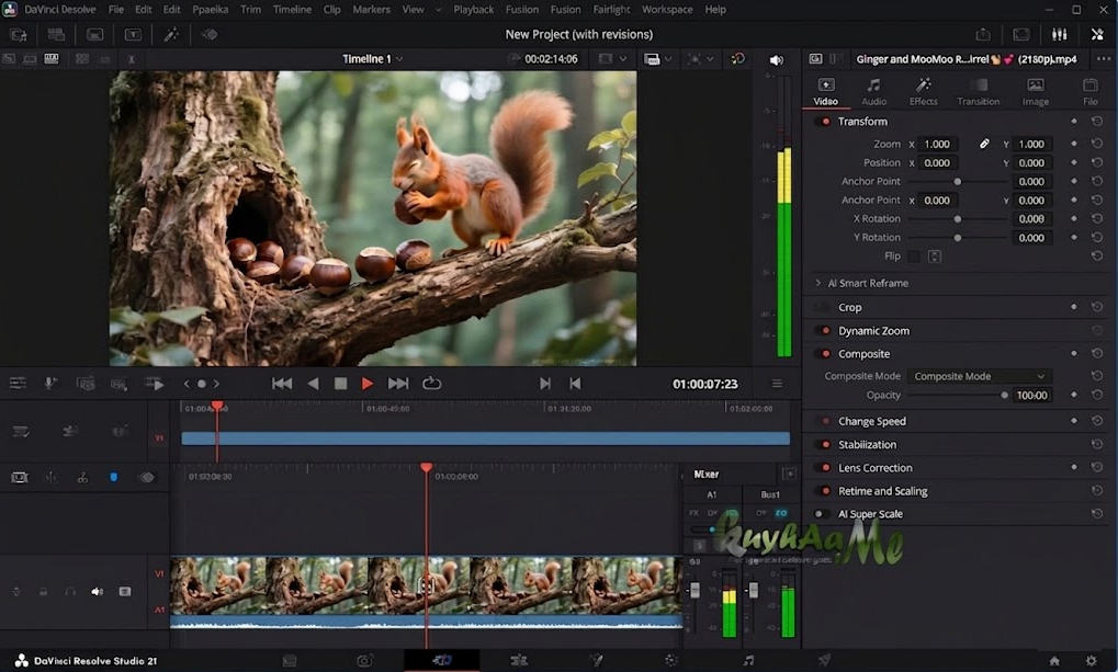 Blackmagic Design DaVinci Resolve Studio 21.1.0 Full