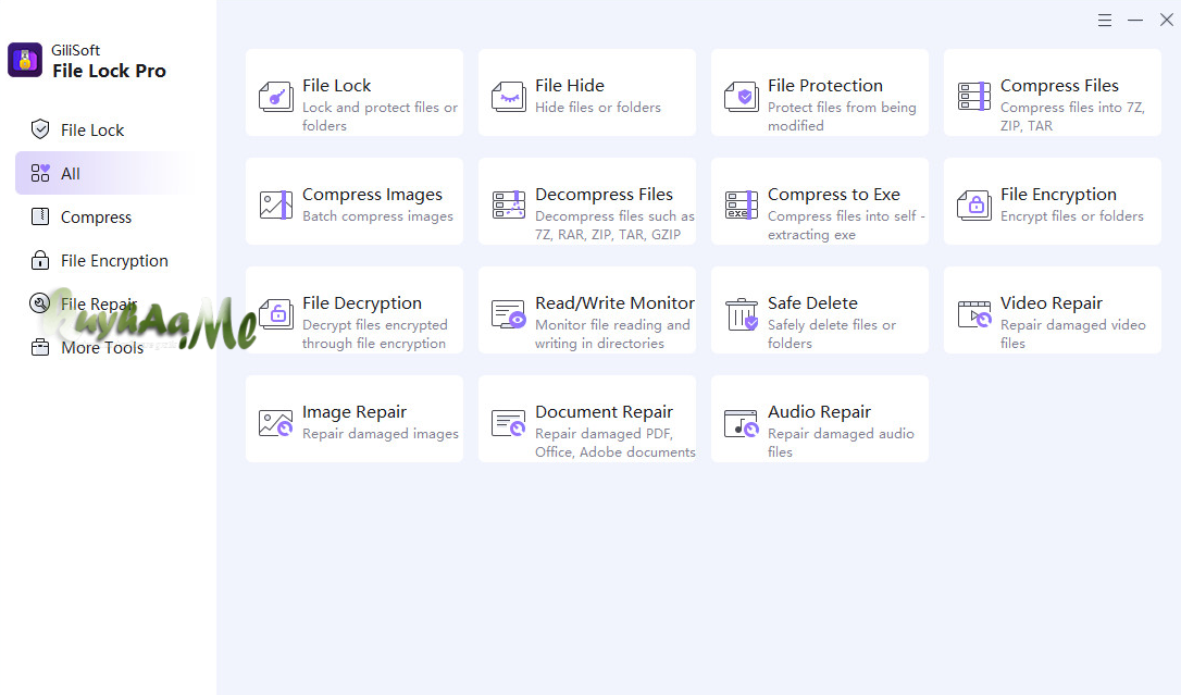 Gilisoft File Lock Pro 15.7.0 Full Version