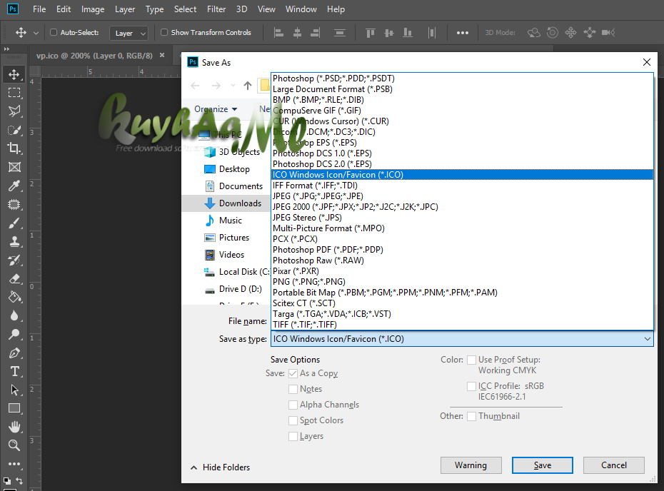 ICO Windows Icon Format for Adobe Photoshop