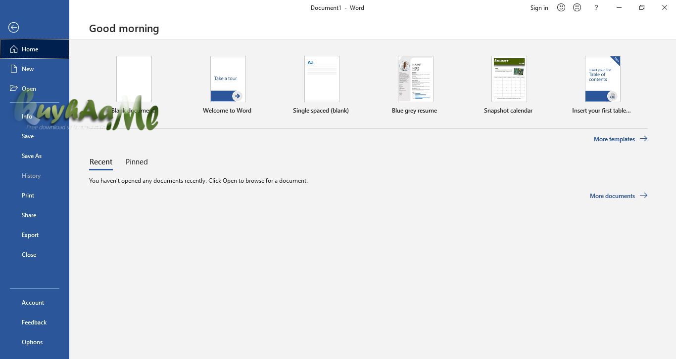 Microsoft Office 2019 Pro Plus 2009 Full October