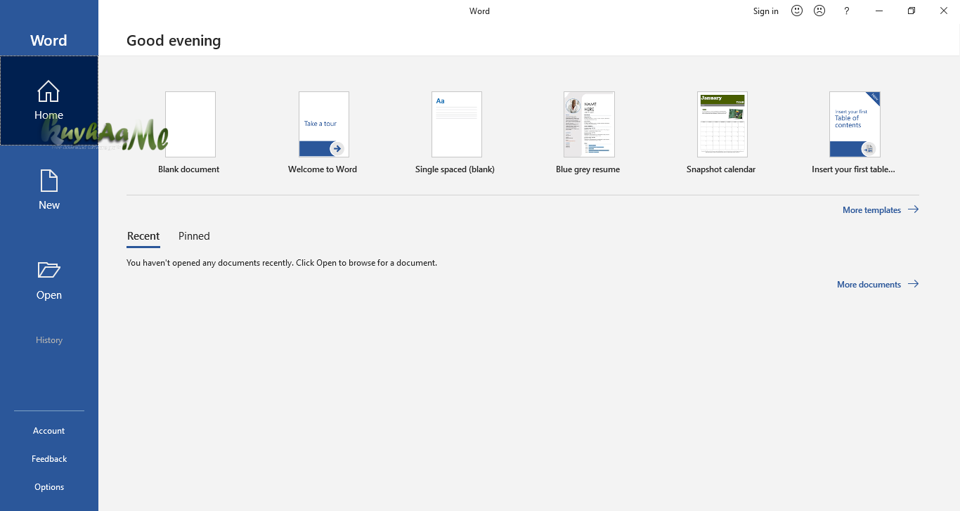 Microsoft Office 2019 Pro Plus 2002 Full Version