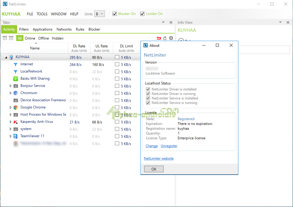 NetLimiter Pro 5.3.26.0 Full Version