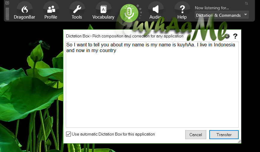 Nuance Dragon Professional 16.10.200.044 Full