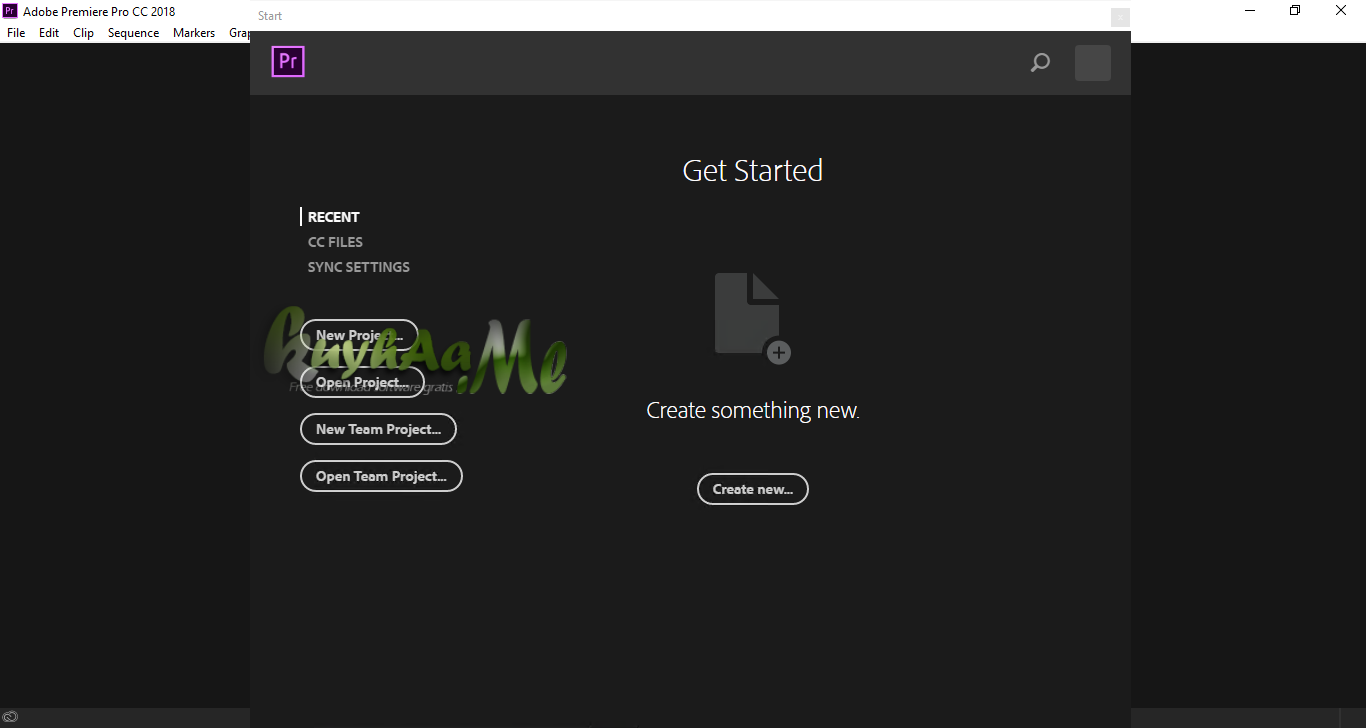 Portable Adobe Premiere Pro CC 2020 Full Version
