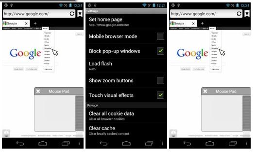 Puffin Web Browser v9.7.2.51367 Apk