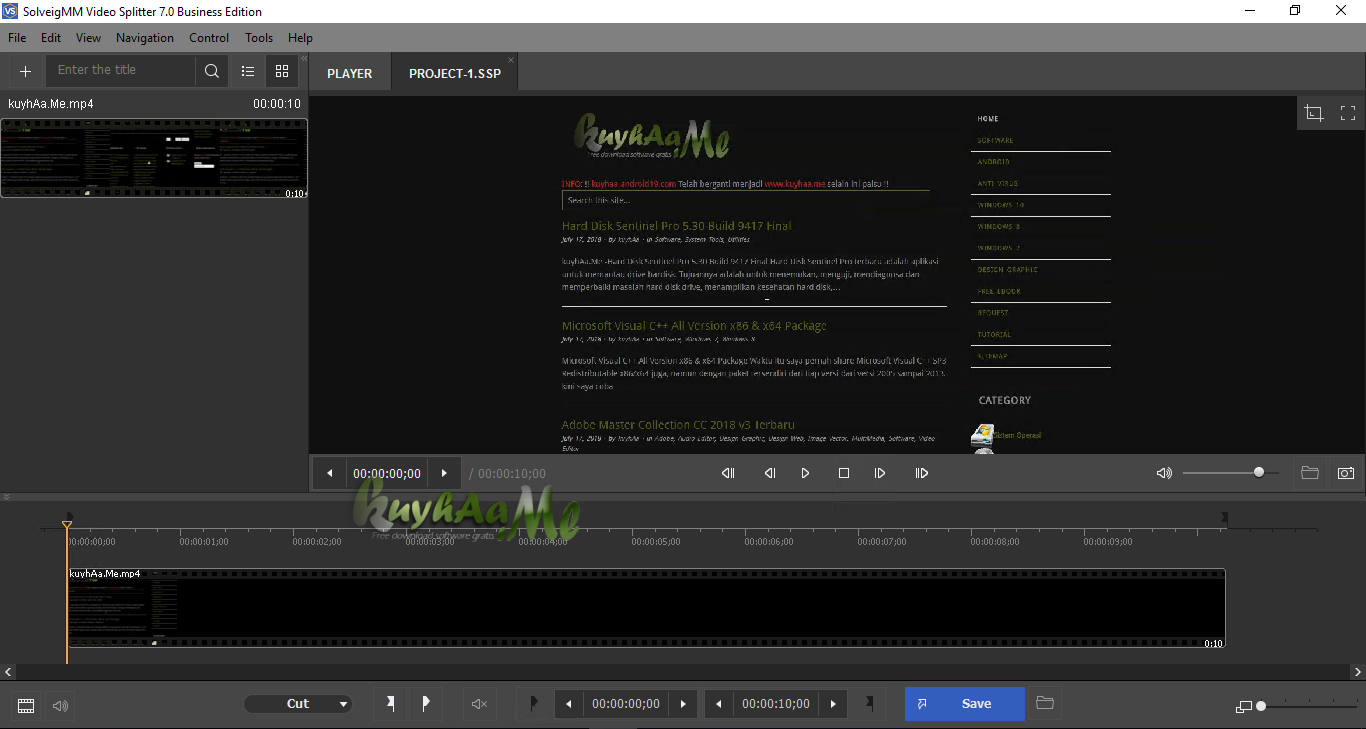SolveigMM Video Splitter 8.2.2510.10 Broadcast Edition