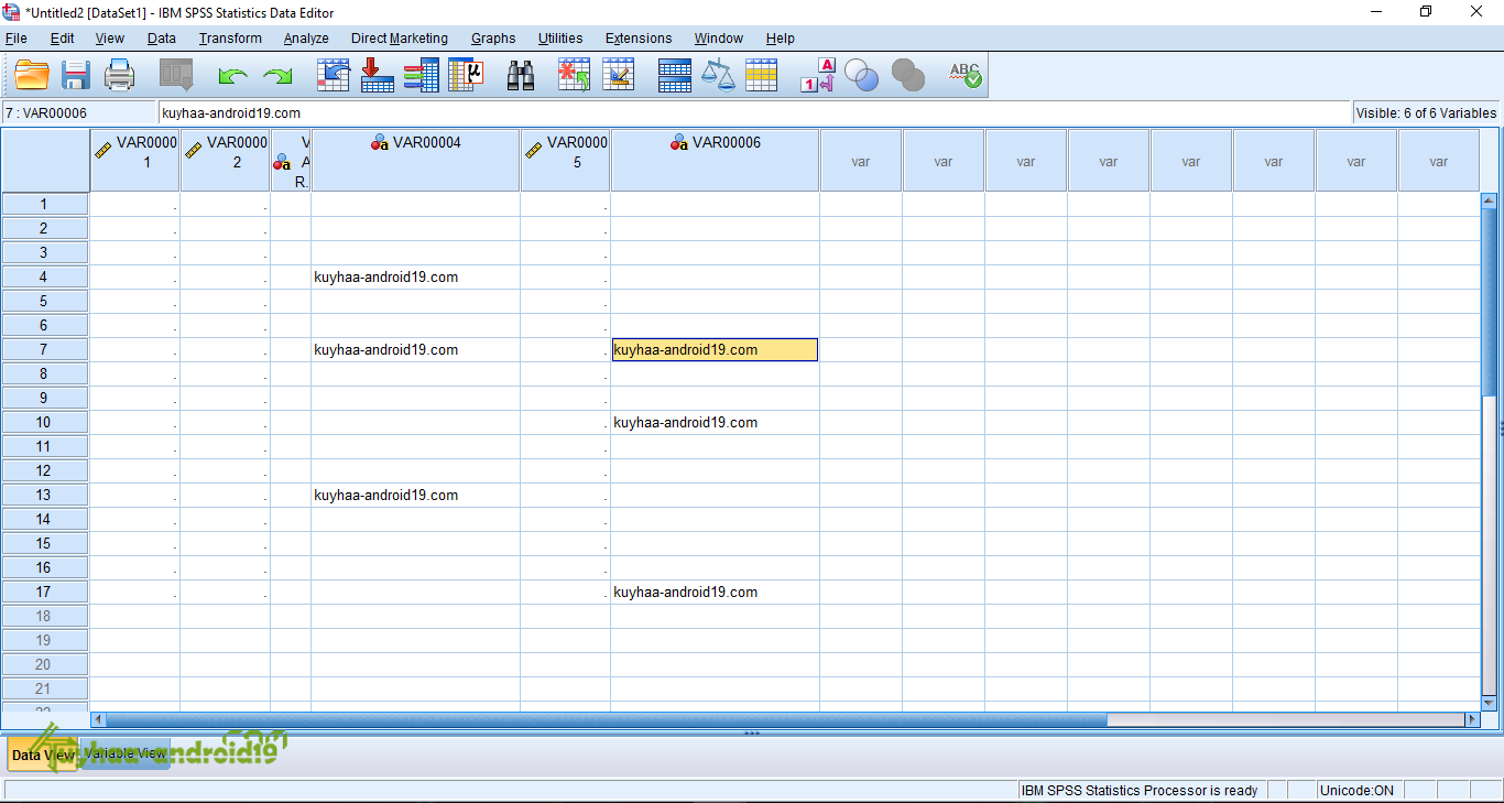 IBM SPSS Statistics 24 Full Version