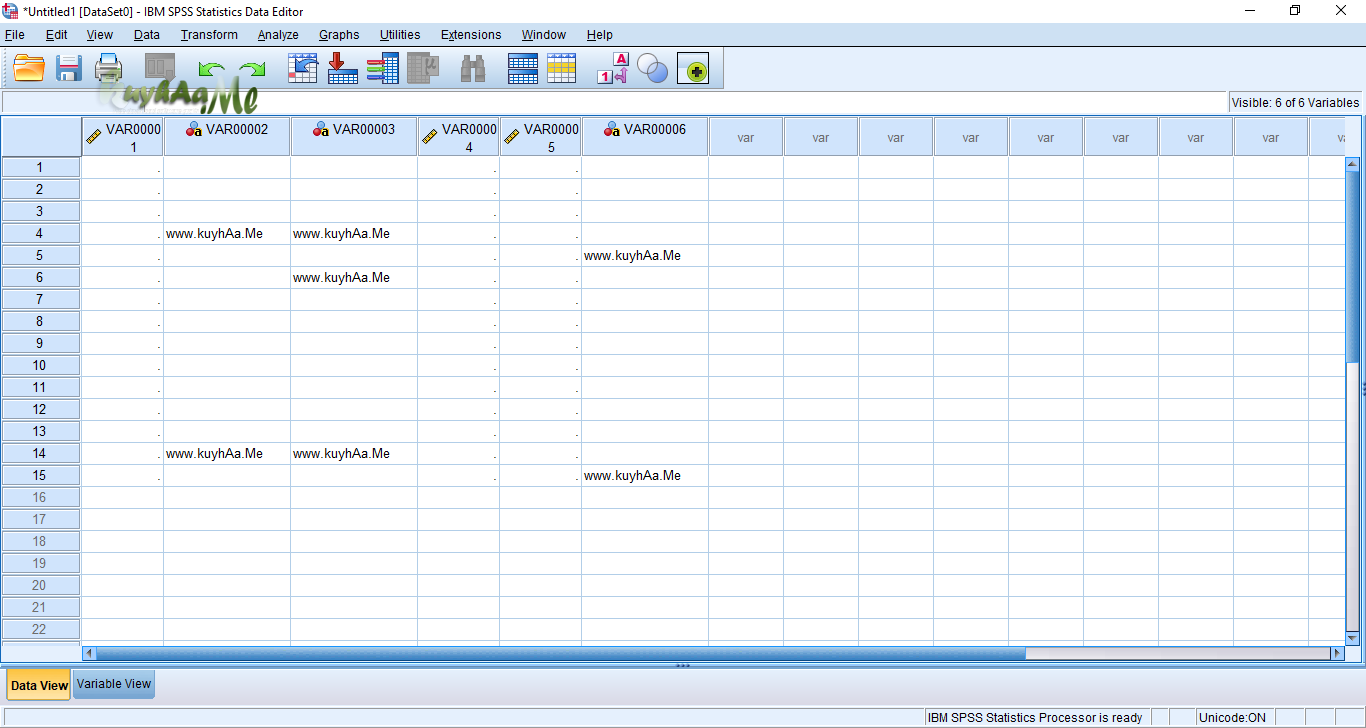 IBM SPSS Statistics 25 Full Terbaru