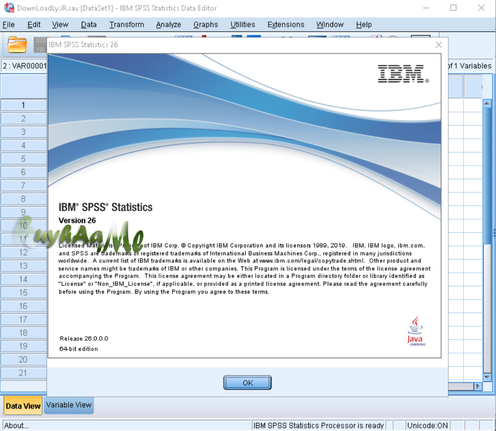 IBM SPSS Statistics 26.0 Full Version