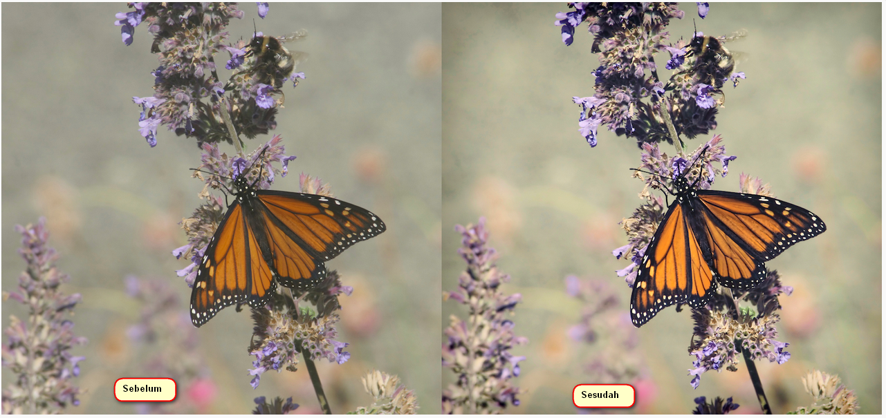Topaz Detail 3.2.0  Plugin Photoshop Final