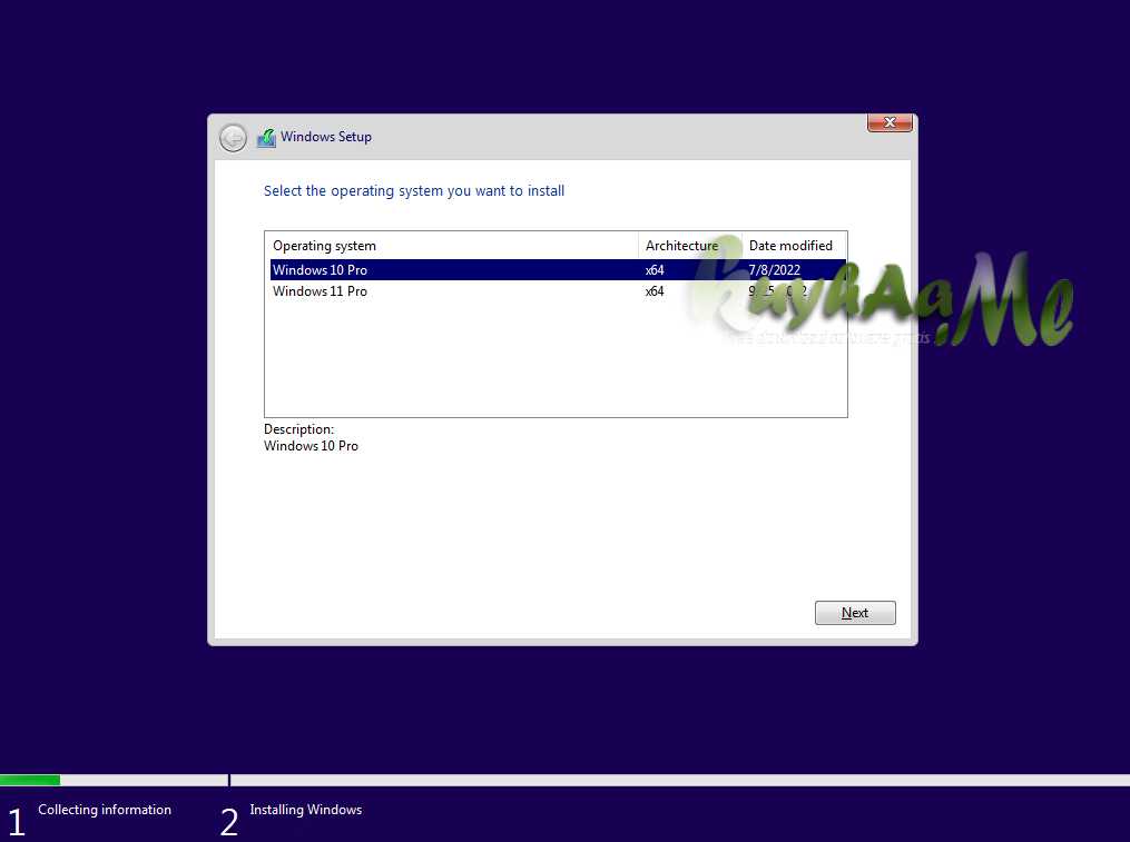 Windows 10/11 Pro Full 22H2 x64