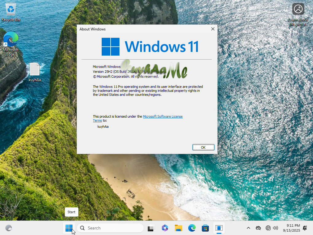 Windows 11 Pro 25H2 ISO Full Build 26200.8655